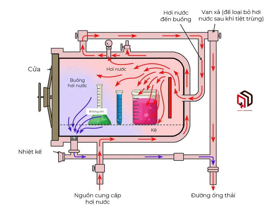 /upload/image/cau-tao-noi-hap-tiet-trung-nam-ngang.png