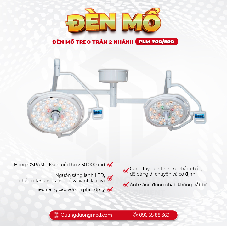 /upload/image/den-mo-treo-tran-plm-700-500-kareway(2)(1).png