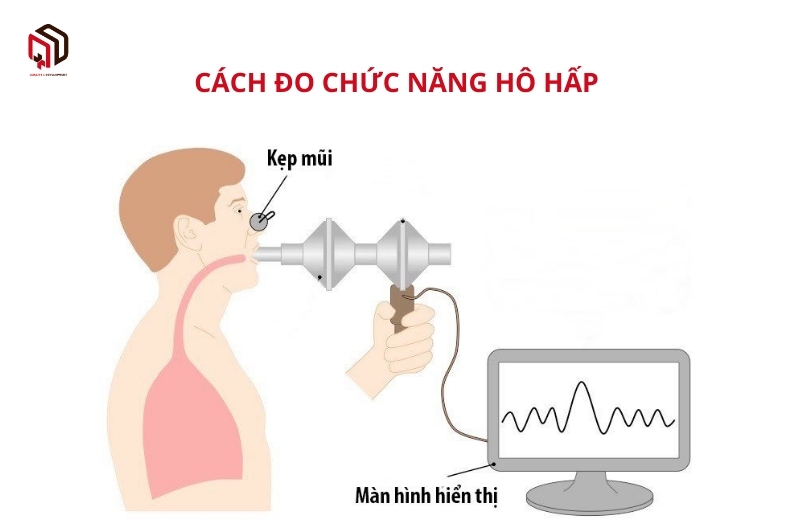 /upload/image/do-chuc-nang-ho-hap-2.jpg