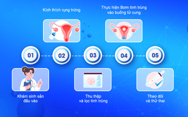 /upload/image/iui-la-gi-4.png