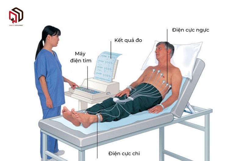 Máy điện tim mang lại nhiều lợi ích cho việc khám chữa bệnh tim mạch