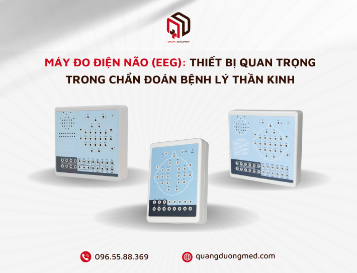 Máy đo điện não (EEG): Thiết bị quan trọng trong chẩn đoán bệnh lý thần kinh