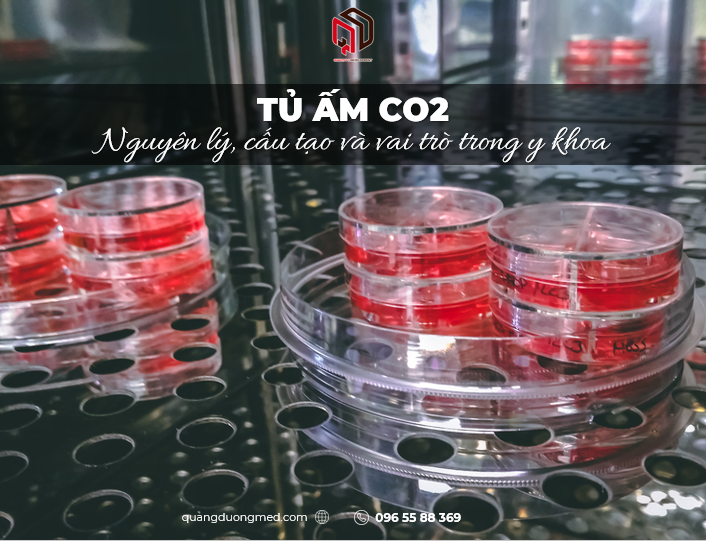 /upload/image/tu-am-co2-nguyen-ly-cau-tao-va-vai-tro-trong-y-khoa.png