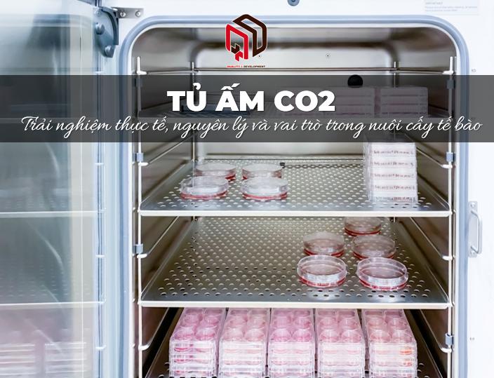 /upload/image/tu-am-co2-trai-nghiem-thuc-te-nguyen-ly-va-vai-tro.png