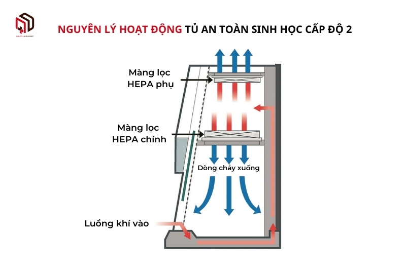 Nguyên lý hoạt động tủ an toàn sinh học cấp 2