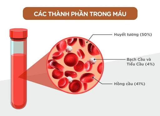 Các thành phần trong máu